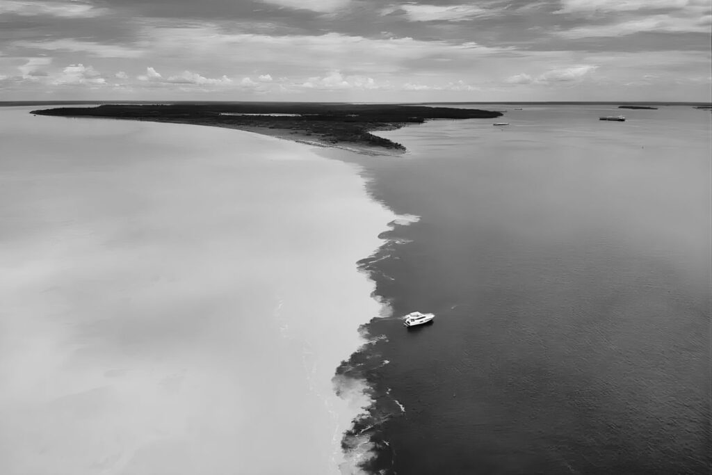 Self-Awareness Without Self-Esteem by Alessandro Vecchi