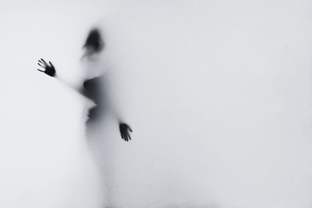 Self Perception and the Shadow by Alessandro Vecchi