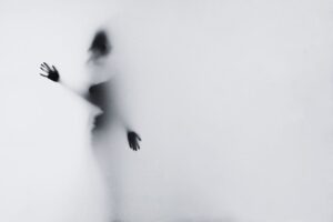 Self Perception and the Shadow by Alessandro Vecchi