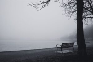 Why We Fear Silence And How to Come Back to Now